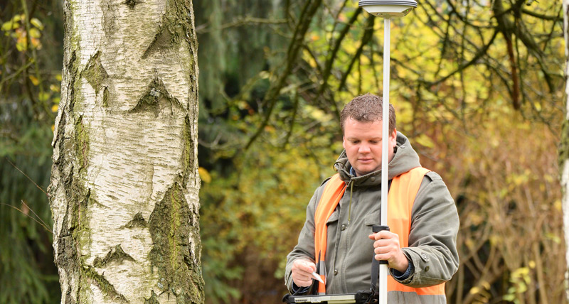 Sustainably maintain and protect trees using GIS